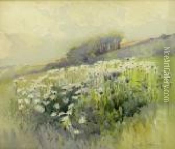 Wild Meadow Flowers Oil Painting - Harry Wanless