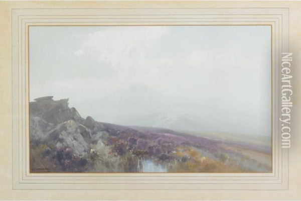 Moorland Scene Oil Painting - Frederick John Widgery