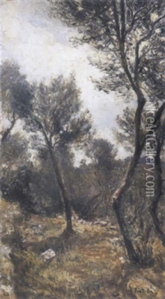 Olivi A Capri Oil Painting - Attilio Pratella