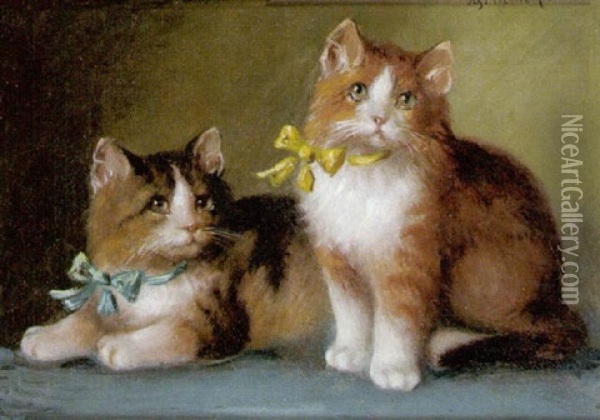 Herausgeputzte Katzchen Oil Painting - Josef Heimerl