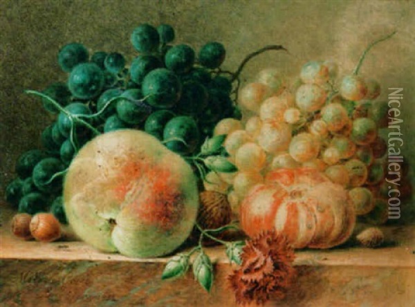 A Still Life With A Peach, Grapes And Nuts Oil Painting - Maria Gertrude Goeje-Barbiers