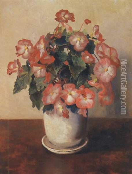 Still Life Of Begonias Oil Painting - Frans David Oerder