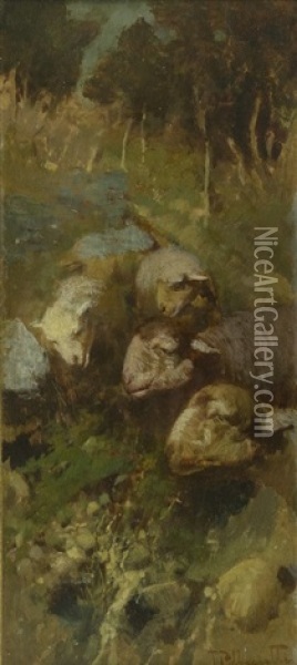 Paesaggio Con Pecore Oil Painting - Tito Pellicciotti