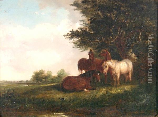 Horses And A Startled Moorhen Oil Painting - Thomas Smythe