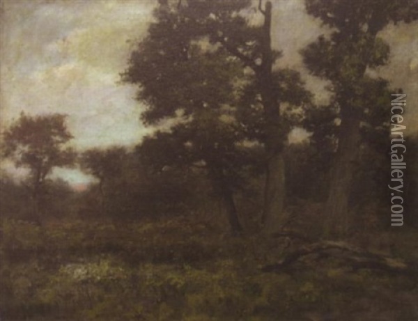 Sous-bois Oil Painting - Cherubino Pata