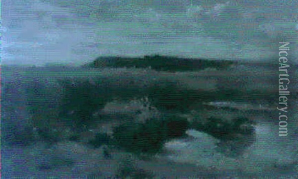 Moorlandschaft Oil Painting - Otto Froelicher