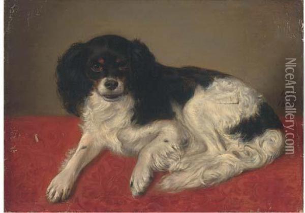 A Spaniel On A Cloth Oil Painting - Leopold Hartmann