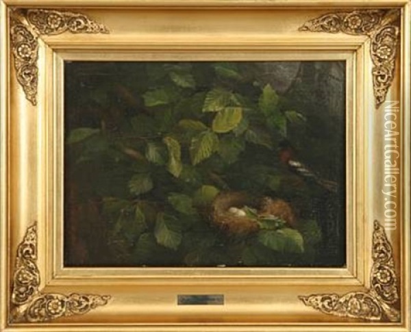 Robin By The Nest Oil Painting - Olaf August Hermansen