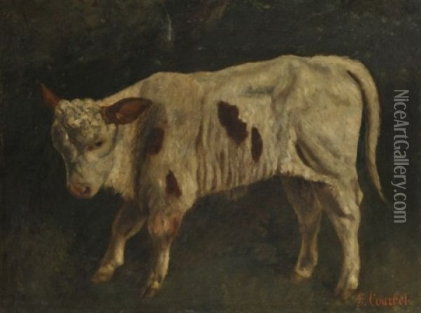 Le Boeuf Oil Painting - Gustave Courbet