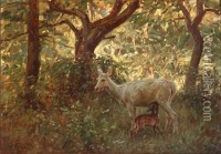 Mom to son, Deer drawing, Spring forest, Never forget that I love