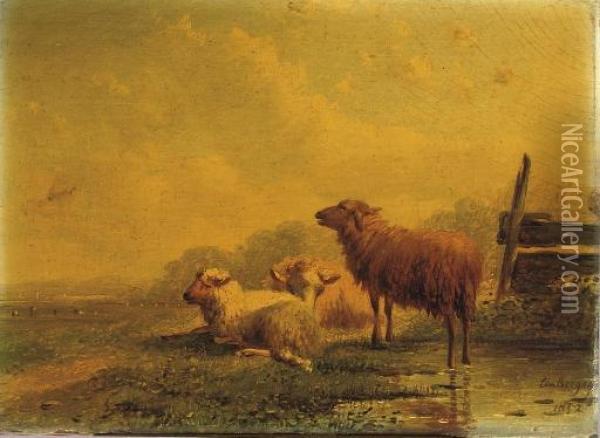 Sheep Resting In The Pasture Oil Painting - Bernardus Gerardus Ten Berge