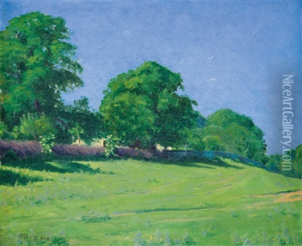 Verdant Meadow Oil Painting - Peter Ratz