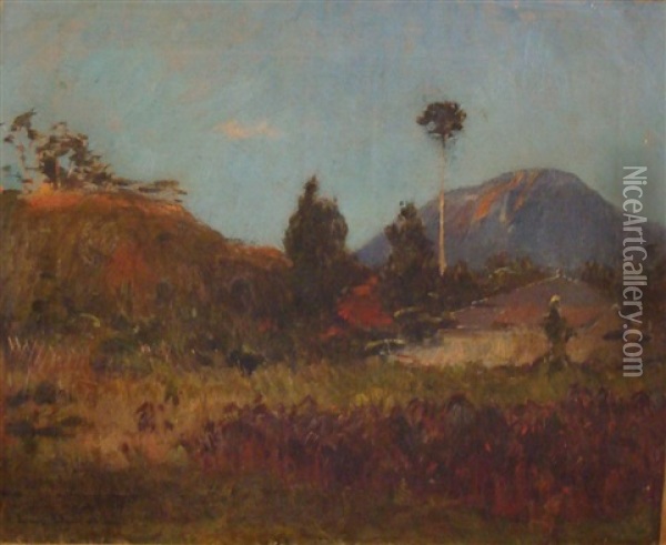 Vue De Mafat Volcan Piton De La Fournese, Reunion Oil Painting - Louis-Jules Dumoulin