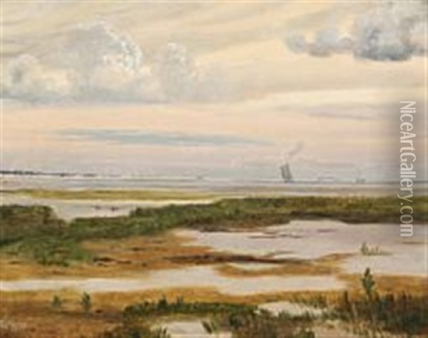 Scenery From Saltholm With Ships At Sea Oil Painting - Vilhelm Peter Karl Kyhn