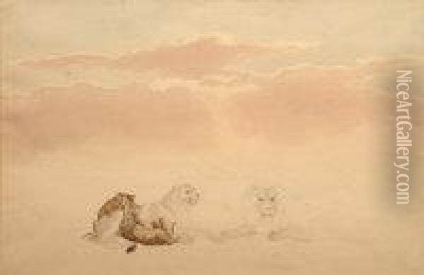 Lion Cubs Oil Painting - William Huggins