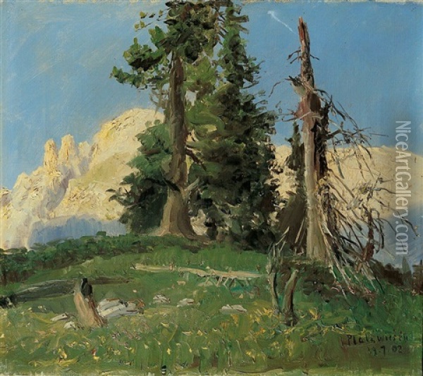 In Den Sudtiroler Dolomiten Bei Platzwiesen Oil Painting - Eugen Felix Prosper Bracht