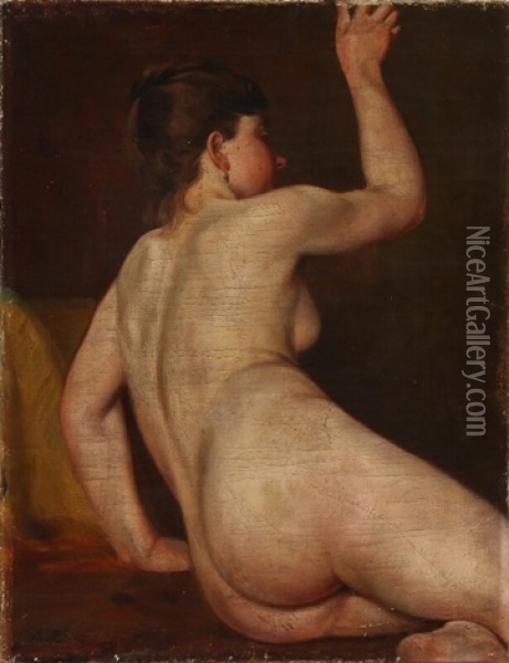 Female Nude With An Earring Oil Painting - Bertha Wegmann