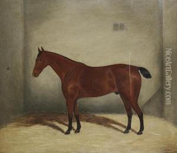 A Bay Horse In A Stable Oil Painting - S.G. Stearn