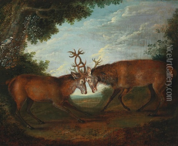 Two Hunting Still Lifes, One With Fighting Stags, The Other With A Stag And A Doe Oil Painting - Philipp Ferdinand de Hamilton