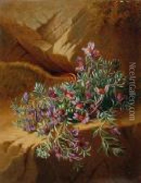 Alpine Flowers, A Pair Oil Painting - Josef Schuster