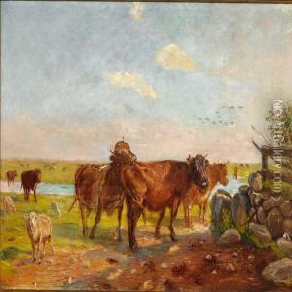 Kvaeg Pa Vanderens Vaenge. 
Saltholm Oil Painting - Theodor Philipsen