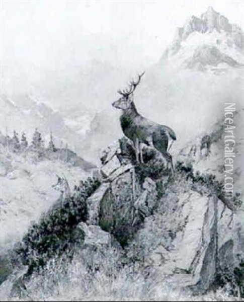 Kronhjorte Pa En Alpetop Oil Painting - Georg Berger