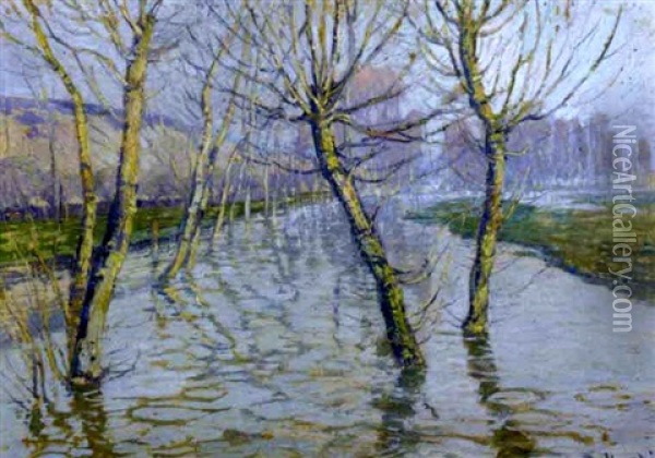 A View Of Trees In A Flooded Field Oil Painting - Wenzel Radimsky