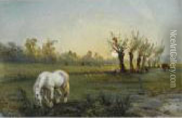 Cheval Blanc Dans Un Pre Oil Painting - Camille Pissarro