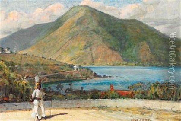View Of The Danish West Indies Oil Painting - Hugo Valdemar Larsen