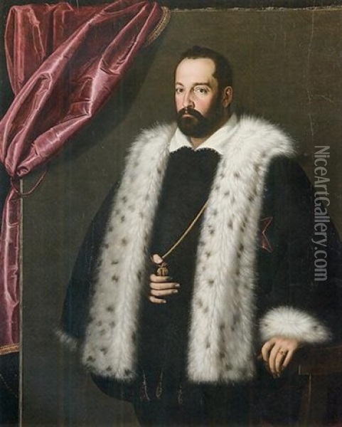 Ritratto Del Granduca Francesco I De'medici Oil Painting - Scipione Pulzone