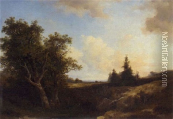 An Extensive Heathland Landscape Oil Painting - Johannes Warnardus Bilders