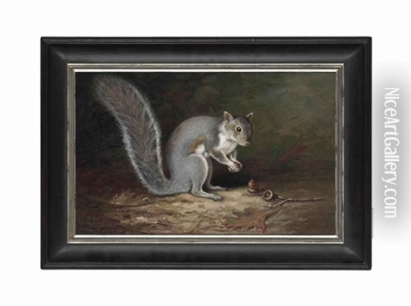 A Squirrel Harvesting Nuts Oil Painting - John Clinton Spencer