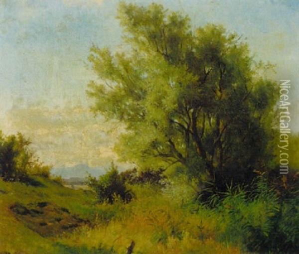 Landschaft Mit Weide, Schilf Und Wiesen Im Voralpenland Oil Painting - Ludwig Hartmann