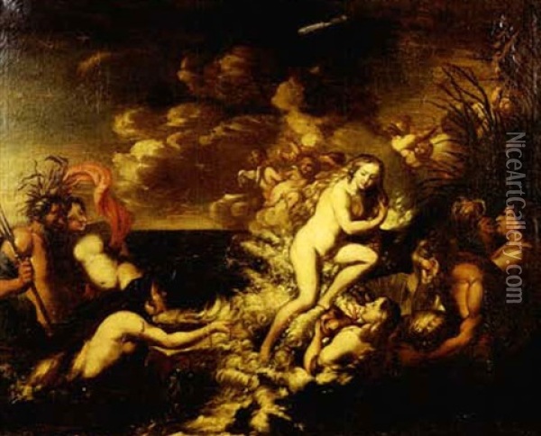 Venus Sortant Des Flots Oil Painting - Paolo de Matteis
