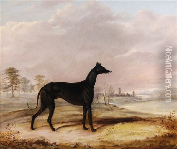 Kent, A Coursing Greyhound, In An Extensive Landscape Oil Painting - John E. Ferneley