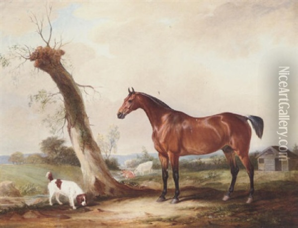 A Bay Hunter With A Spaniel In A Landscape Oil Painting - John E. Ferneley