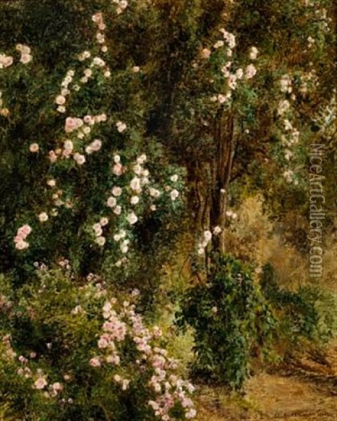 Blomstrende Roser I Villa D'estes Have Oil Painting - Janus la Cour