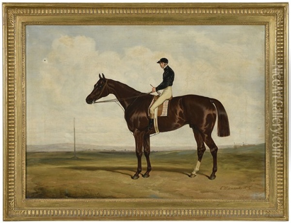 The Chestnut Thoroughbred Mundig Oil Painting - Charles Hancock