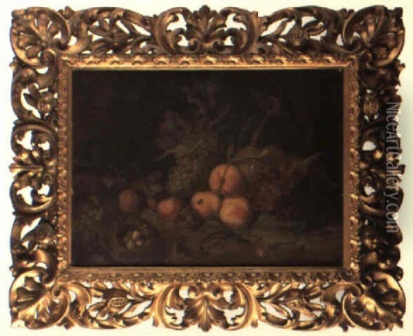 Still Life Of Fruit, Insects, Bird's Nest And Lizard Oil Painting - Abraham Mignon