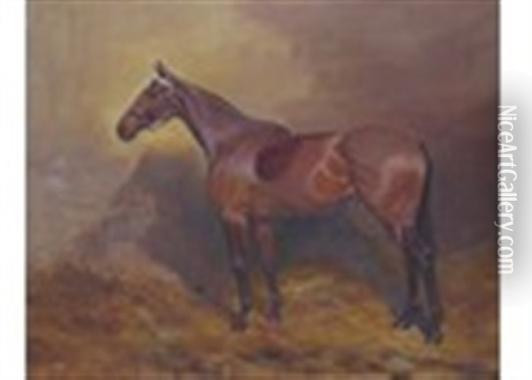 A Grey In A Stable And A Bay Hunter In A Stable (a Pair) Oil Painting - Thomas Ivester Lloyd