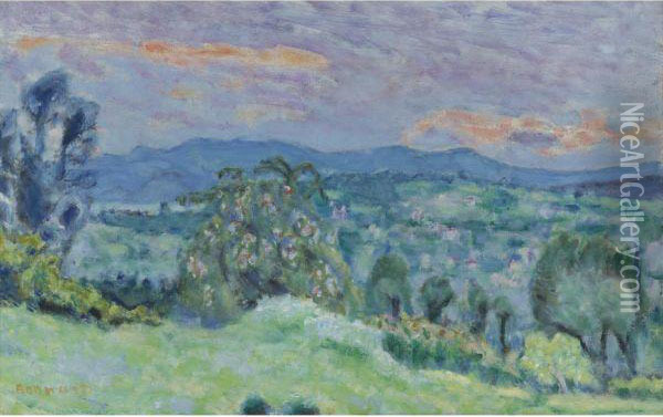 Paysage De Saint-tropez Oil Painting - Pierre Bonnard