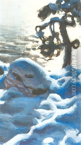 Pine In Kalela Oil Painting - Akseli Valdemar Gallen-Kallela