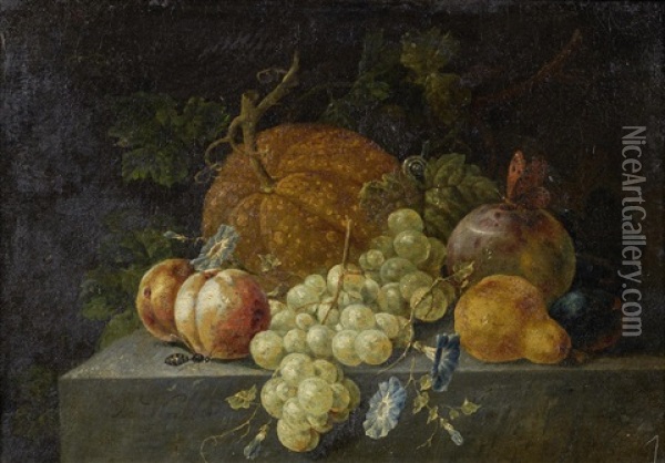 A Melon, Grapes, Peaches And Other Fruit On A Stone Ledge With Morning Glory And Various Insects; And A Melon, Grapes, A Lemon And Various Fruit On A Stone Ledge With Jasmine And Various Insects Oil Painting - Johann Amandus Winck