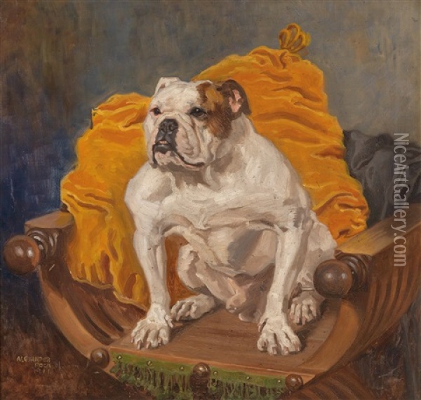 Englische Bulldogge Oil Painting - Alexander Pock