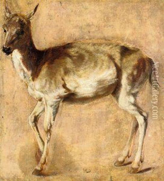 Study Of A Deer Oil Painting - Peeter Boel