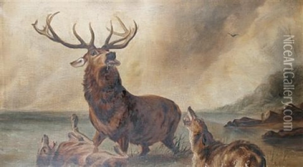 Stags On The Moors (a Pair) Oil Painting - W. J. Crampton