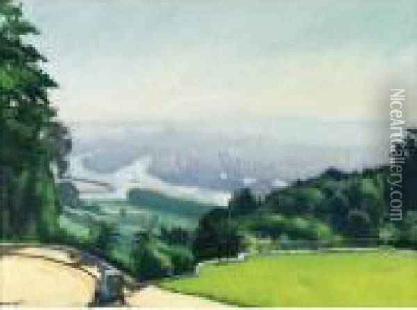 Rouen Vu De Canteleu Oil Painting - Albert Marquet