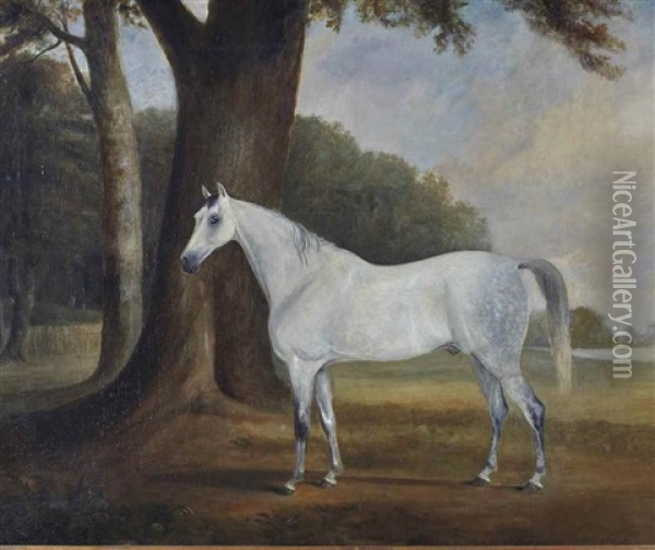 Cheval Gris Pommele Dans Un Paysage Oil Painting - Claude Lorraine Ferneley