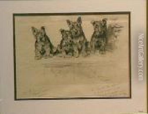 Scottish Terrier Puppies Oil Painting - Arthur Wardle