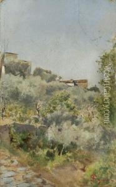 Scorcio Di Settignano Oil Painting - Telemaco Signorini